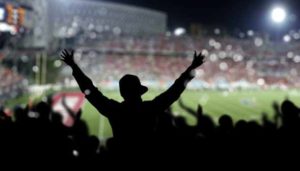 Sports Fan Cheers in Stadium